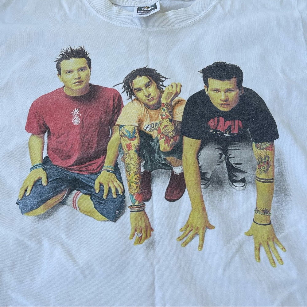 Vintage BLINK 182 White Rock Band T Shirt 2000 Large Adult Y2K Deadstock RARE - Picture 11 of 16